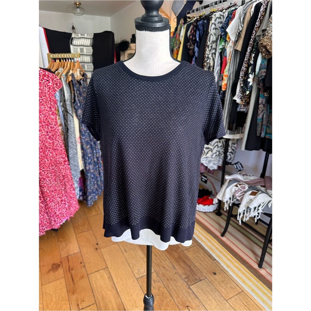 Ann Taylor Polka Dot Knit Top with Chiffon Hem